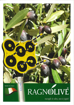 Immagine di Scuotitore per olive Ragnolive Light