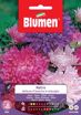 Immagine di Semi di Astro bellezza america color mix Blumen fiori grandi aiuole vaso pianta