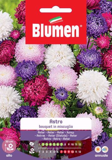 Ferramenta Brico - Paletti per Vigneto, Grottaminarda (Avellino) -  Confezione semi Astro bouquet color mix Blumen fiori grandi aiuole pianta