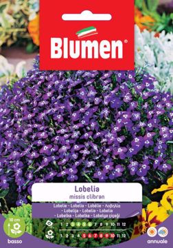 Picture of Confezione semi Lobelia missis clibran Blumen pianta per giardino aiuole vaso