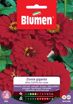 Immagine di Confezione semi Zinnia gigante California Blumen aiuole giardino bordure vaso