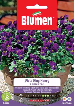 Immagine di VIOLA KING HENRY A PICCOLI FIORI