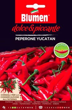 Immagine di SEMI PEPERONCINO YUCATAN