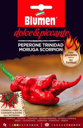 Immagine di SEMI PEPERONCINO TRINIDAD MORUGA SCORPION