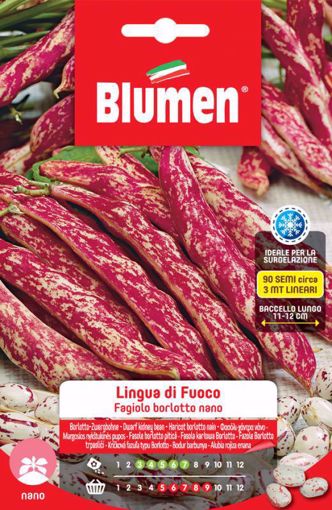 Immagine di FAGIOLI BORLOTTI NANI LINGUA DI FUOCO