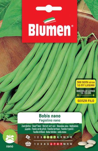 Immagine di FAGIOLINI NANI BOBIS NANO