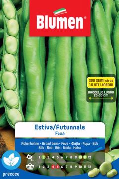 Picture of FAVA ESTIVA - AUTUNNALE