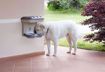 Immagine di BAMA - Ciotola appesa Food Stand per cane - 48 x 27 x 42 cm - Tortora