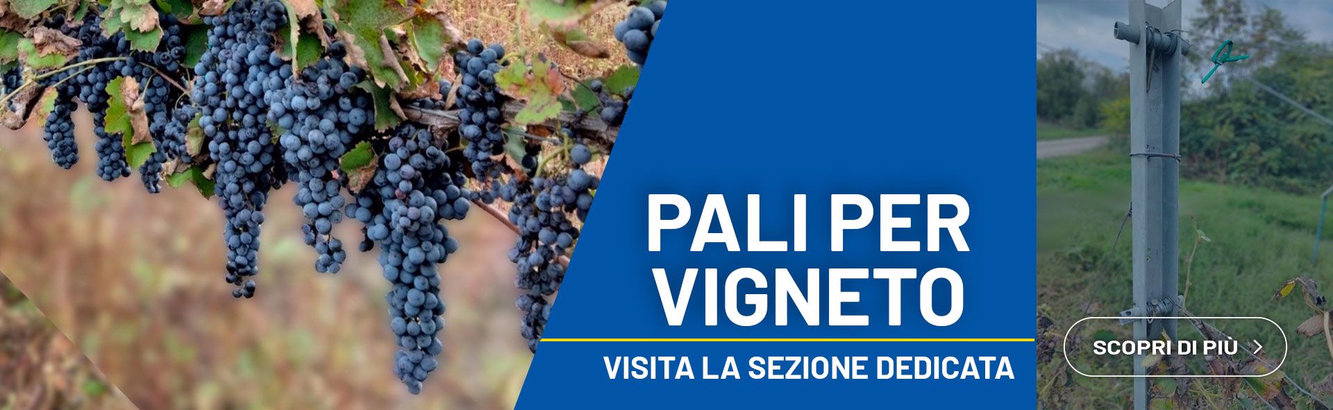 Paletti per vigneto