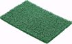 Immagine di PRATO RICCIO IN PVC COLORE VERDE 15 mm