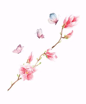 Immagine di Adesivo da parete Magnolia Butterflies