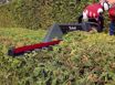 Immagine di TAGLIASIEPI ELETTRICO GC-EH 6055/1 EINHELL