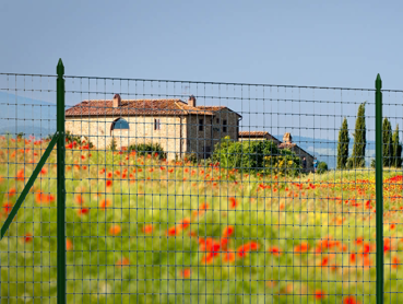 Ferramenta Brico - Paletti per Vigneto, Grottaminarda (Avellino) - SAETTA  ZINCATA A L PER PALETTI A T 25X25 PER RECINZIONI