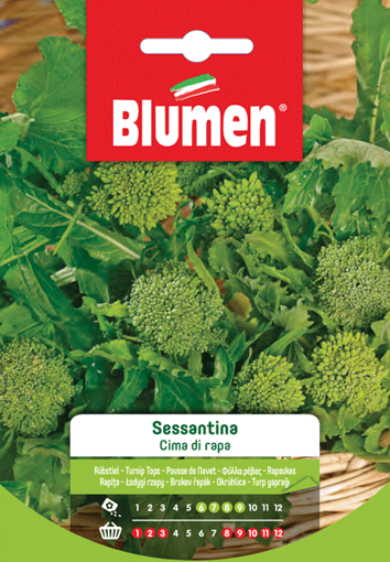 Immagine di CIMA DI RAPA SESSANTINA