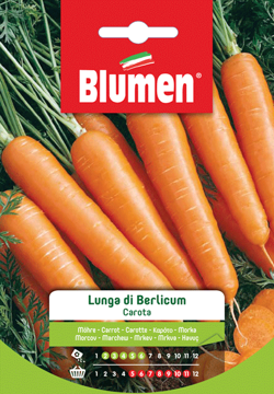 Immagine di CAROTA LUNGA DI BERLICUM