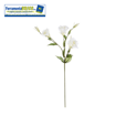 Immagine di LISIANTHUS 3 FIORI + 4 BOCCIOLI BIANCO 78CM