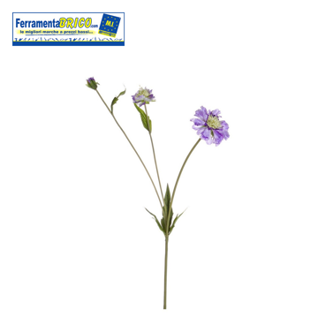 Immagine di SCABIOSA X 3 FIORI VIOLA 51CM