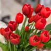 Immagine di BOUQUET ARTIFICIALE DI 5 TULIPANI ROSSO – H 40 CM