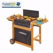 Immagine di BARBECUE DUALGAS ADELAIDE 3 WOODY 14KW CAMPINGAZ
