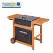 Immagine di BARBECUE DUALGAS ADELAIDE 3 WOODY 14KW CAMPINGAZ