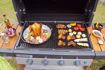 Immagine di SUPPORTO DI COTTURA POLLO BBQ MODULAR CAMPINGAZ